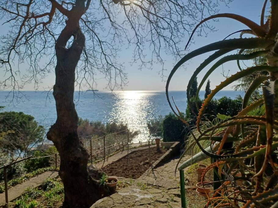 Brezza Marina - Appartamento In Villa Fronte Mare 트리에스테 외부 사진